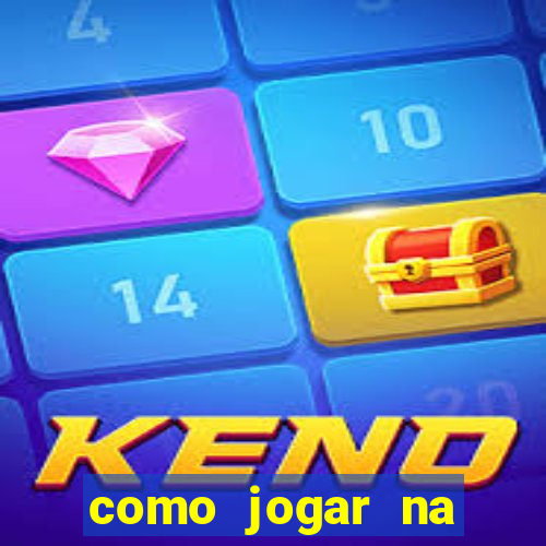 como jogar na lotinha do jogo do bicho